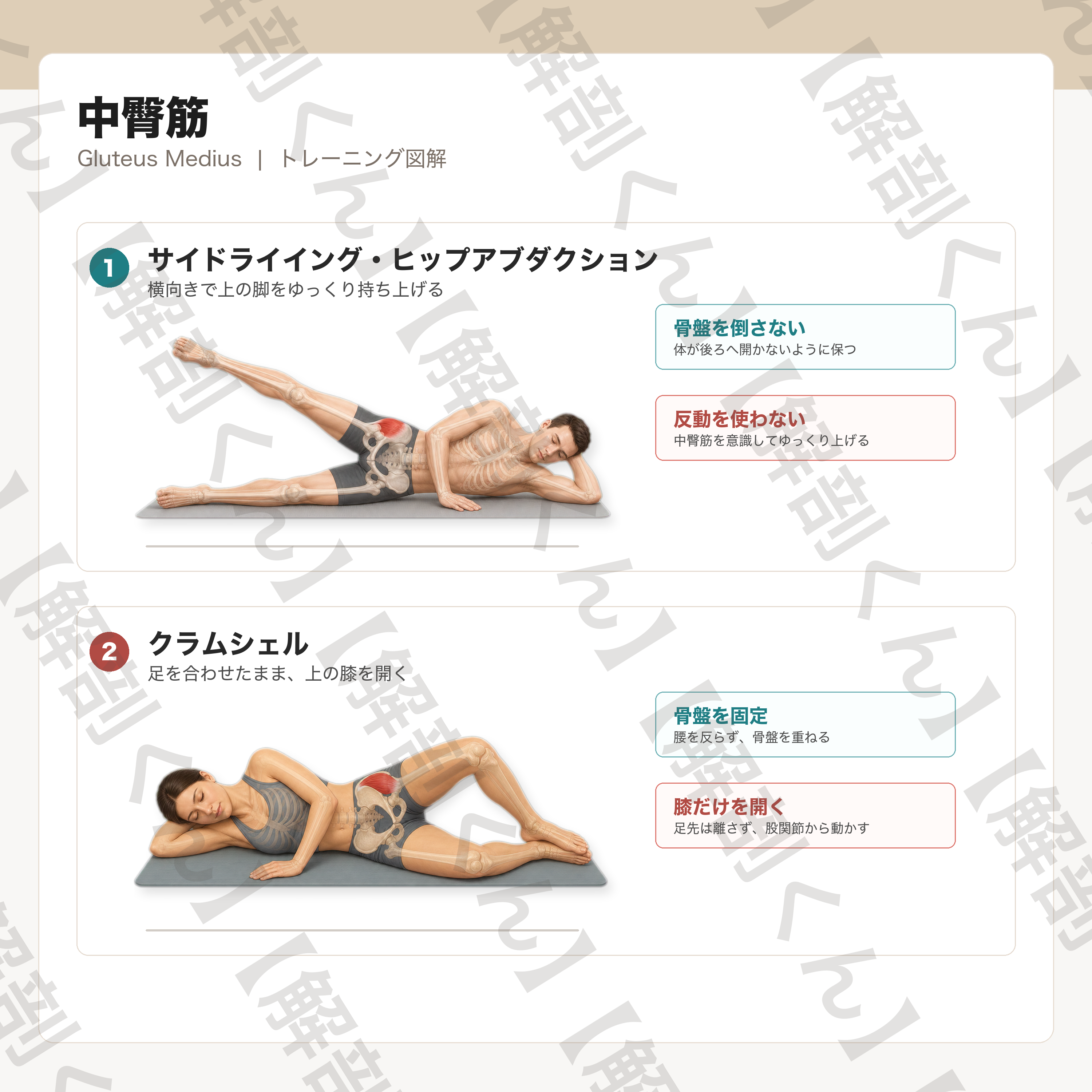 中臀筋 トレーニング図解