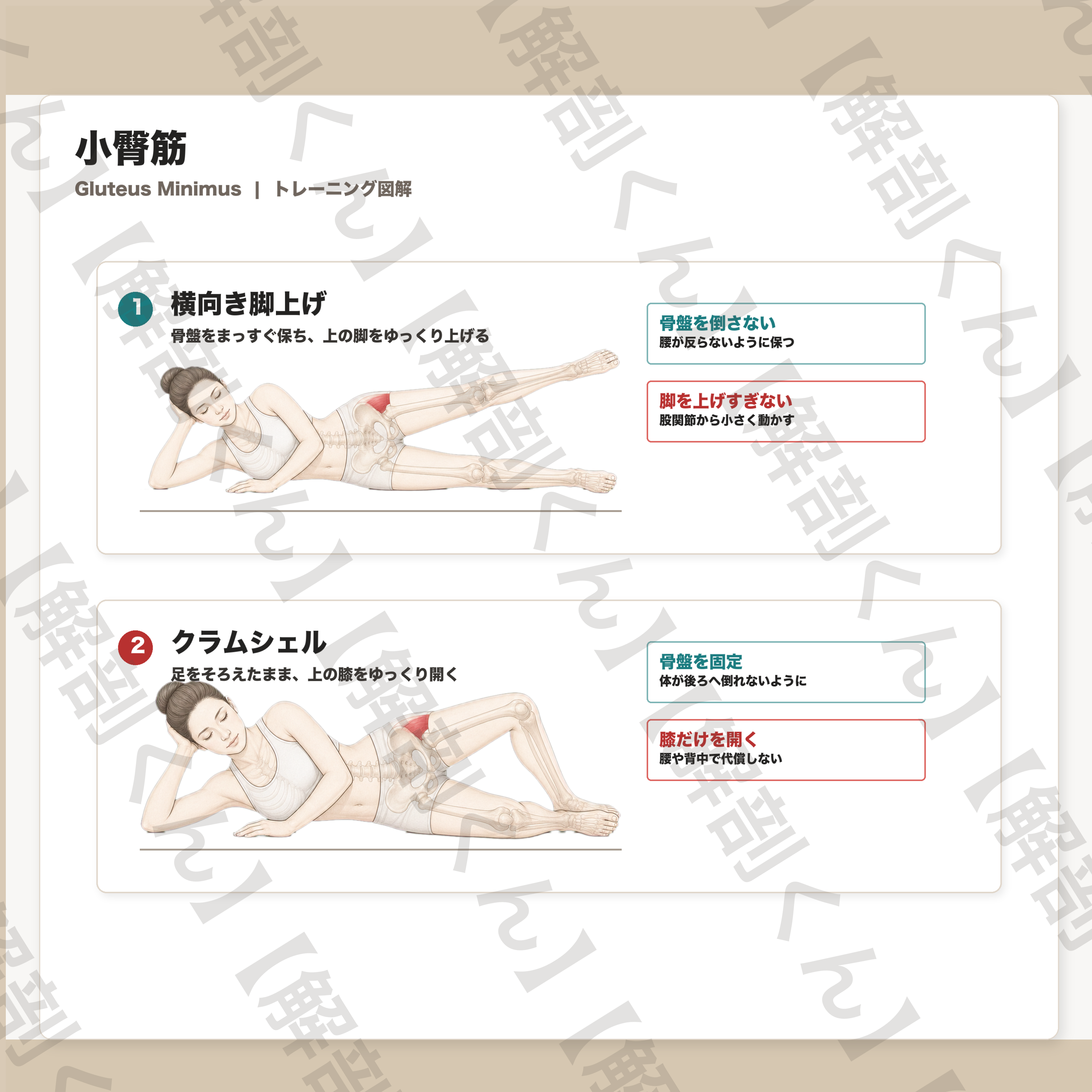 小臀筋 トレーニング図解