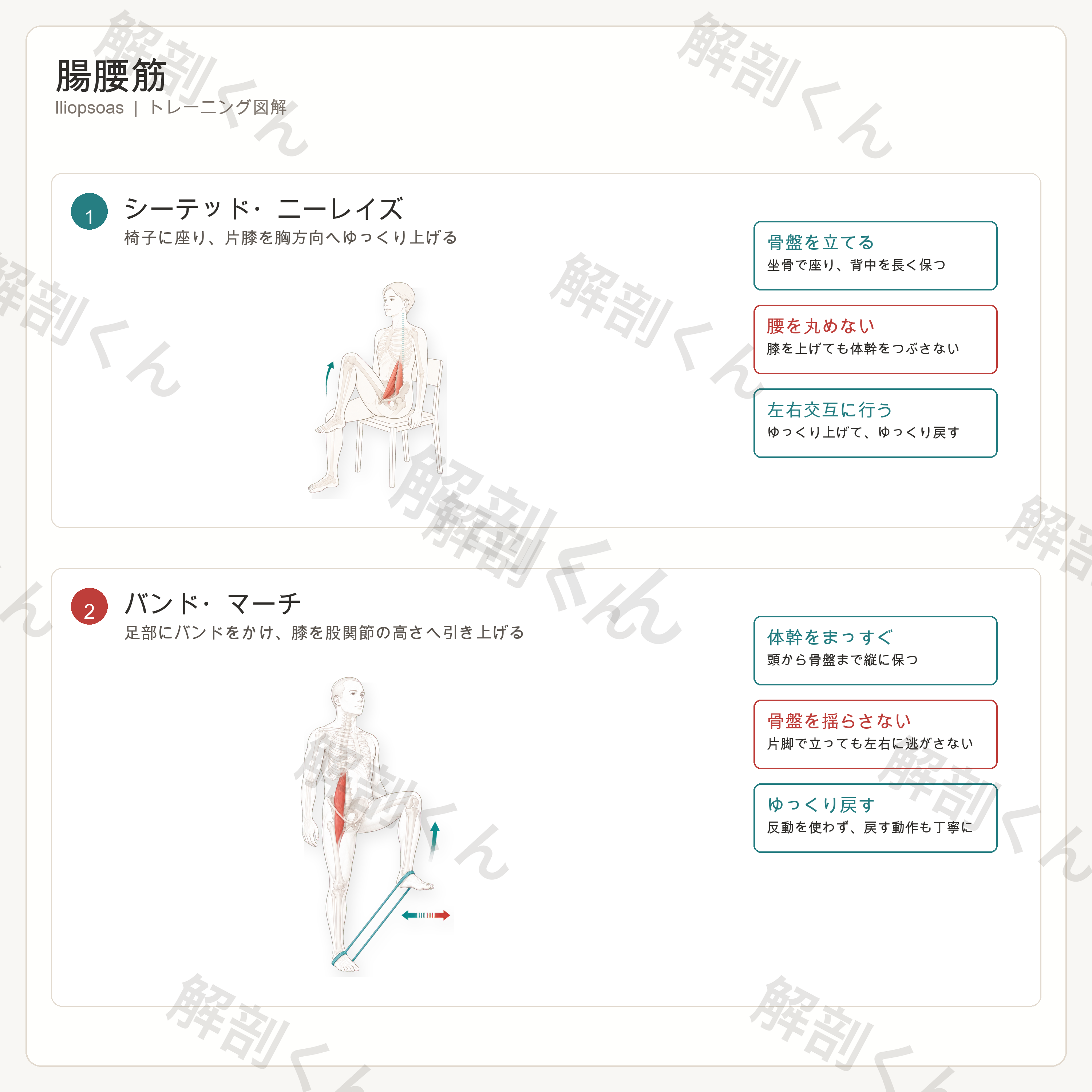 腸腰筋 トレーニング図解