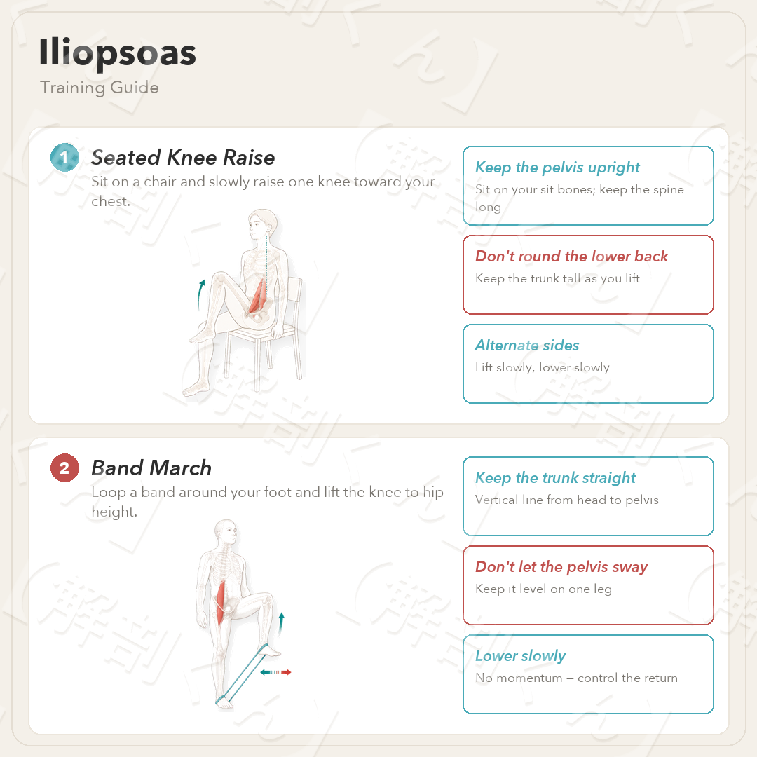 Iliopsoas Training Guide