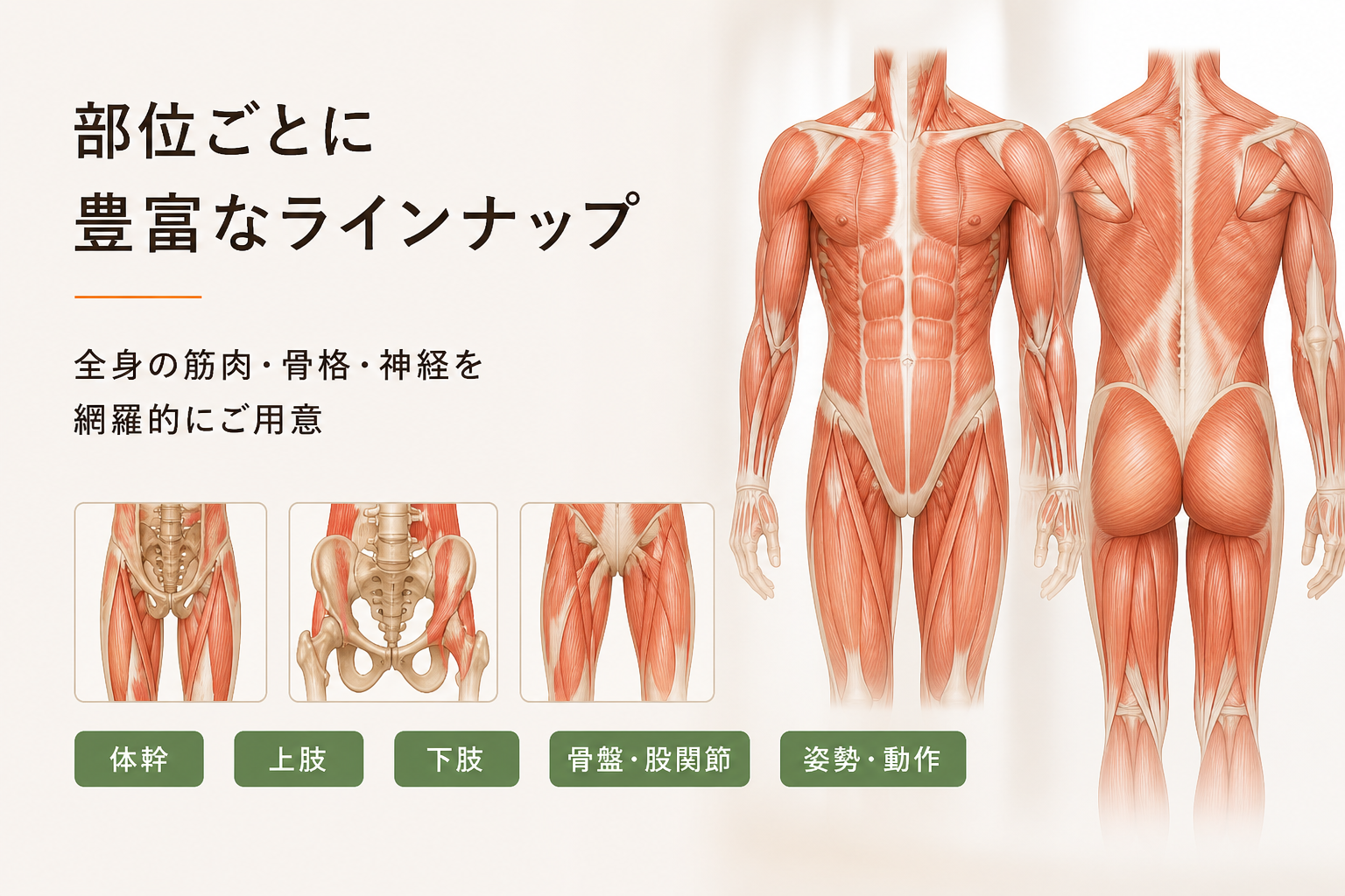 部位ごとに豊富なラインナップ