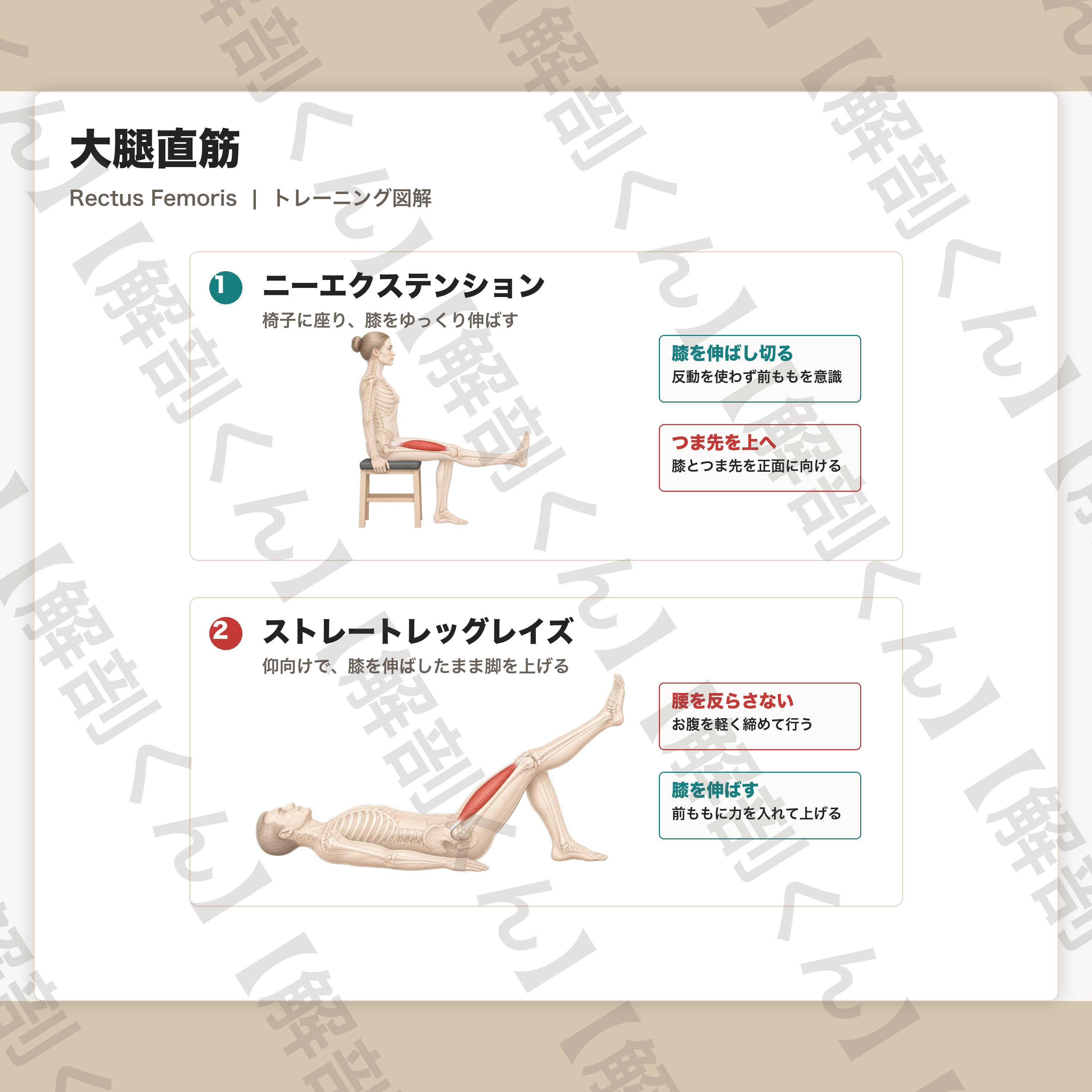 大腿直筋 トレーニング図解